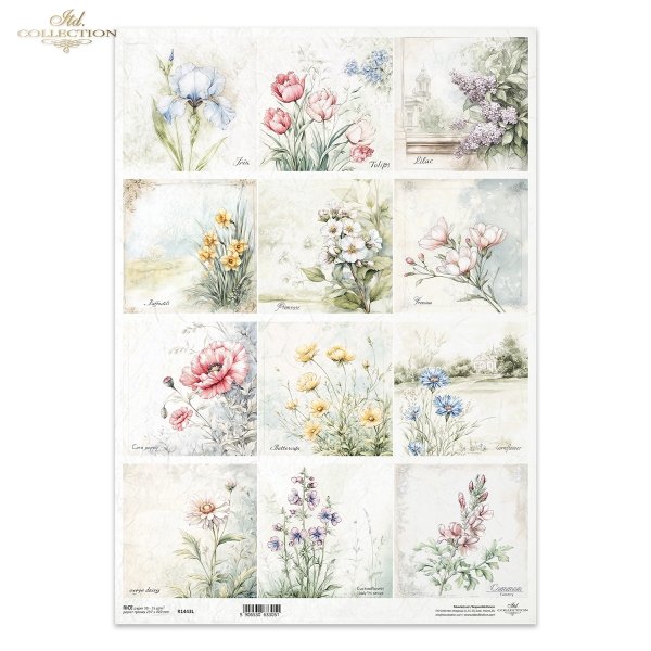 kwiaty, mak, jaskier, chaber, złocień łąkowy, rzeżucha łąkowa, dymnica pospolita, Irys, tulipan, bez, lilak, narcyz, prymulka, frezja*flowers, poppy, ranunculus, cornflower, meadow goldenrod, meadow cress, common cress, iris, tulip, lilac, narcissus