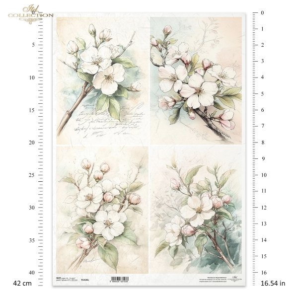 kwiaty flowers Blumen flores 