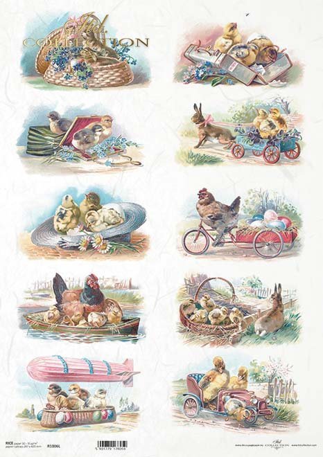 vintage, kury, zające, kurczaki, podróże*vintage, hens, hares, chickens, travel*Vintage, Hühner, Hasen, Hühner, Reisen*vintage, gallinas, liebres, pollos, viajes