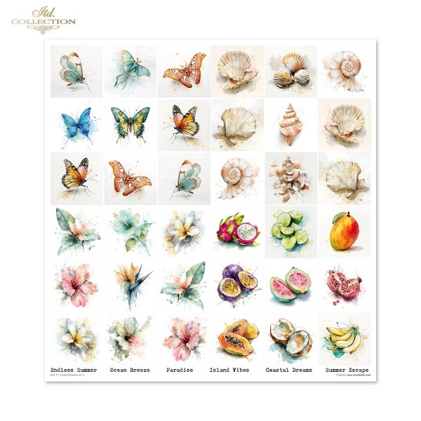 Set von Papieren für Scrapbooking SLS-111 Tropical Dreams vol. 2