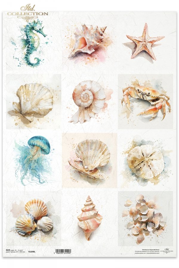 Muszle, małże, ślimak, perła, plaża, ocean, natura, akwarela, konik morski, meduza, jeżowiec, krab, rozgwiazda, fauna*Sea shells, clams, snail, pearl, beach, ocean, nature, watercolor, seahorse, jellyfish, sea urchin, crab, starfish, fauna