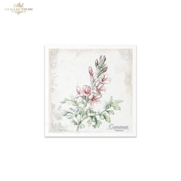 Rice paper set RSM175