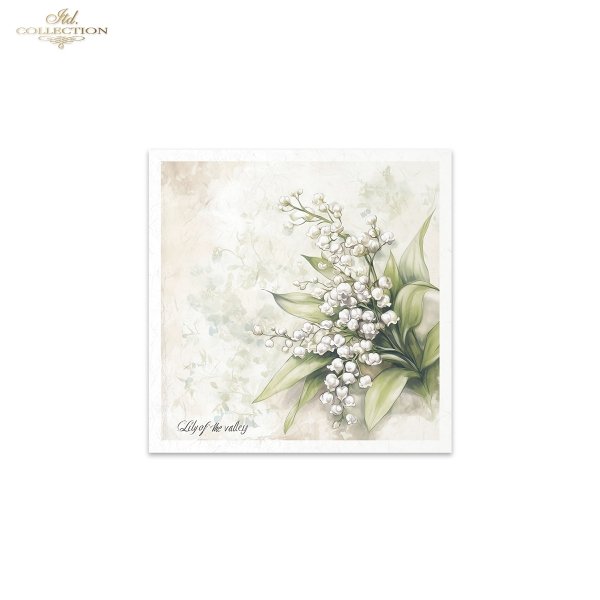 Rice paper set RSM174