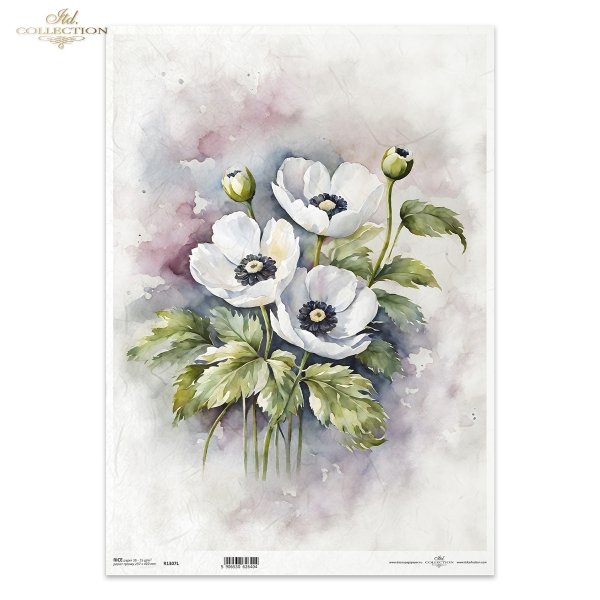 letnie kwiaty, bukiet kwiataów*Summer flowers, flower bouquet*Sommerblumen, Blumenstrauß*Flores de verano, ramo de flores 