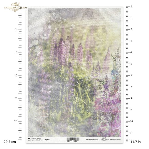 kwiaty polne, dzikie kwiaty, łąka, zioła, akwarela, akwarele, tło, tła, struktura płótna, Summer meadow, grass, grasses, field flowers, wild flowers, meadow, herbs, watercolour, background, canvas structure, Gras, Gräser, Feldblumen