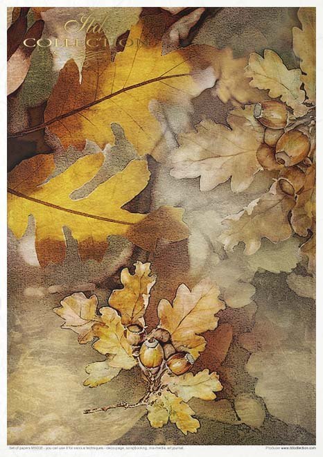 Creative Set MS038 Autumn Love Story