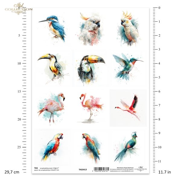 zimorodek, kakadu, tukan, koliber, akwarela, flaming, papuga, turako*kingfisher, cockatoo, toucan, hummingbird, watercolor, flamingo, parrot, turaco