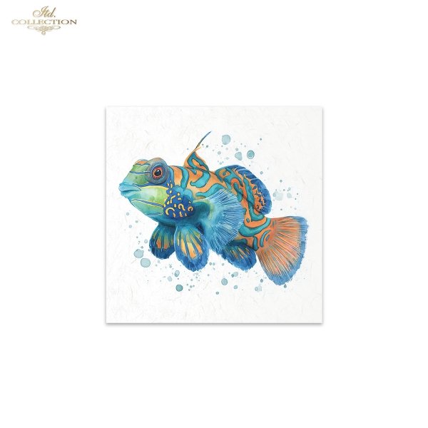 Rice paper set RSM272