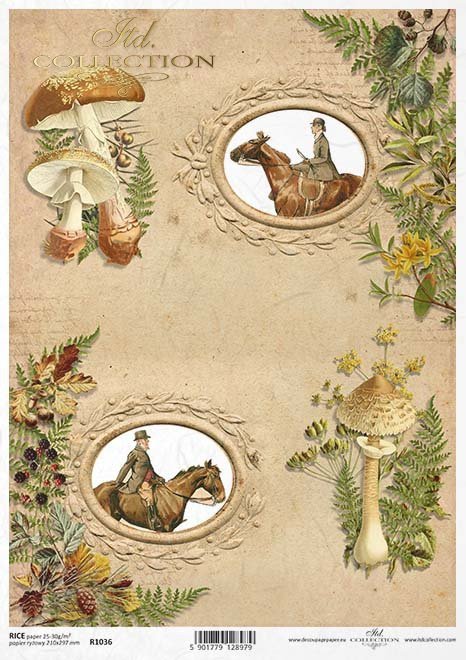 mushroom picking, horse, hunt, riders in hunting costumes, hunting, Rahmen, Jagd, Pilze, Pferd, Reiter in Jagdkostümen, Jagd, Jagen, Pilze sammeln, marco, marco, caza, setas, caballos, jinetes con trajes de caza, caza, recogida de setas
