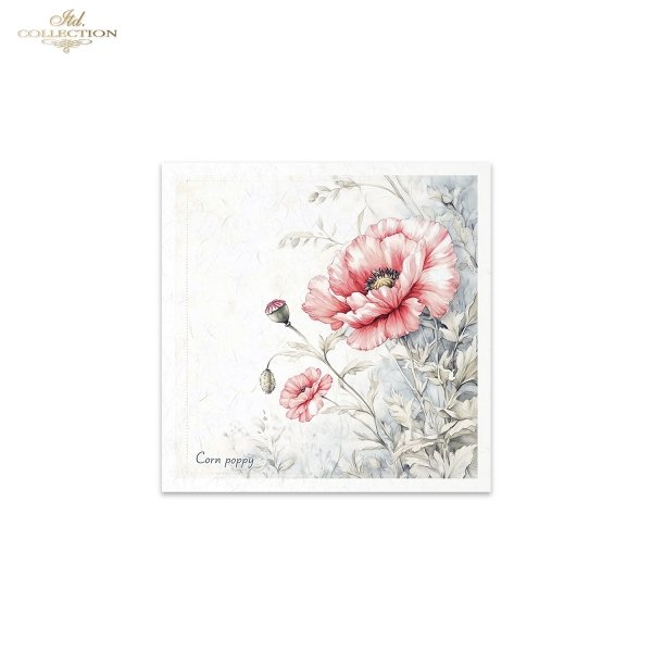Rice paper set RSM175
