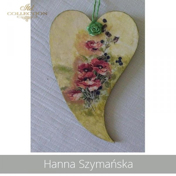20190613-Hanna Szymańska-R1100-example 01