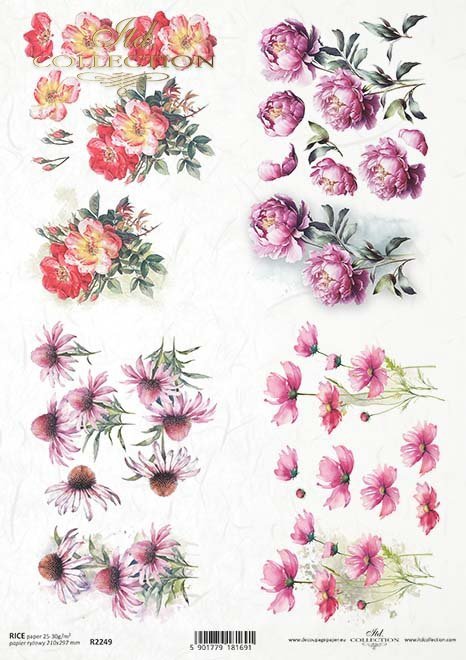 akwarelowe tła, kwiaty 3D, echinacea, peonia, warszawianka, kosmos pierzasty, dzika róża*Watercolour backgrounds, 3D flowers, echinacea, peony, feathery cosmos, wild rose