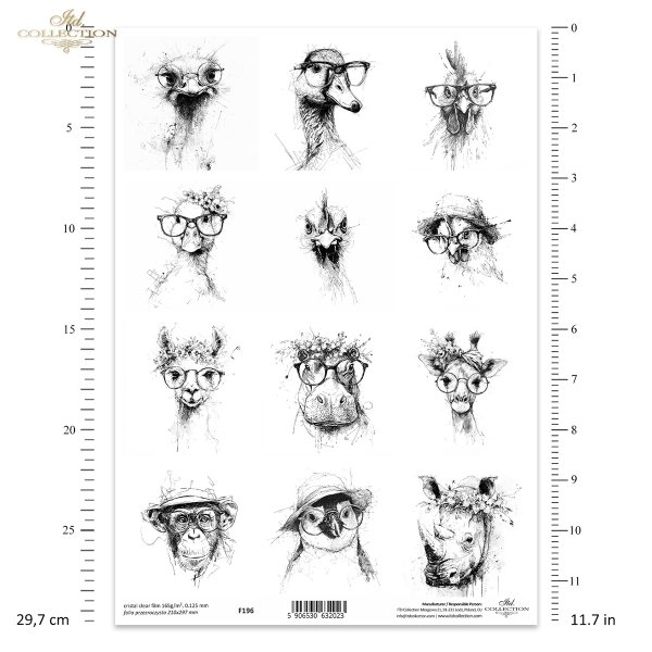 zwierzęta, okulary, kapelusze, wianki, czarno-białe, szkic, tusz, hipster, ilustracja, plakat, nowoczesny, grafika, portret, struś, kaczka, kogut, kura, sowa, alpaka, hipopotam, żyrafa, małpa, pingwin, nosorożec*animals, glasses, hats, wreaths, black and 