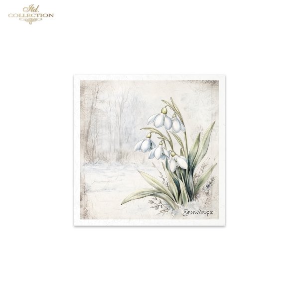 Rice paper set RSM172