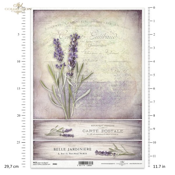 lawenda, lawendy, lawendowe, kwiat, ogród, łąka, wiosna, lato, z lawendą, francuskie faktury, R982, lavender, flower, garden, meadow, spring, summer, Lavendel, Blume, Garten, Wiese, Frühling, Sommer, lavanda, flor, jardín, prado, primavera, verano