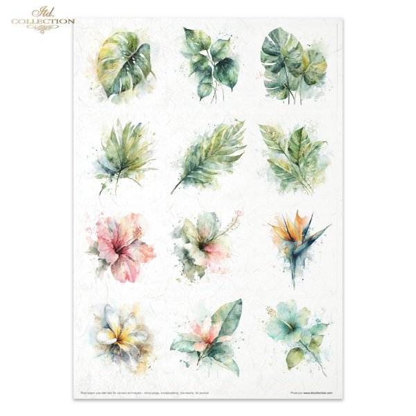 Creative Set RP106 Tropical Dreams vol. 2