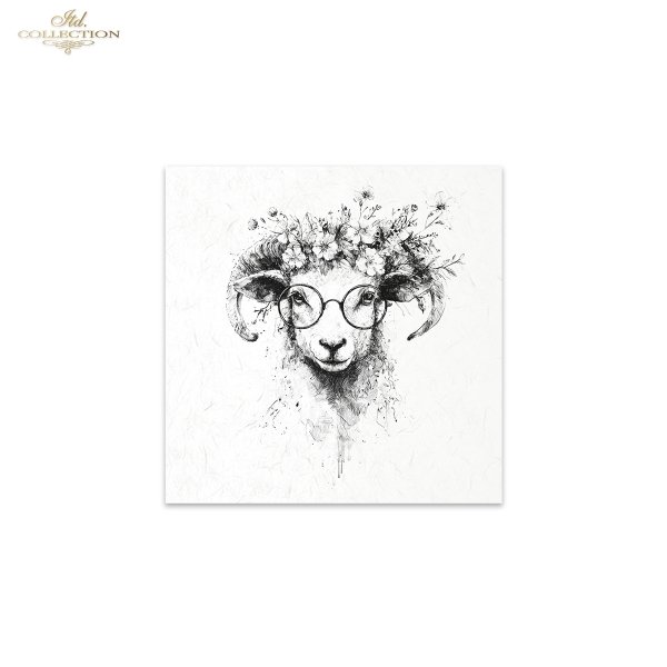 Rice paper set RSM252