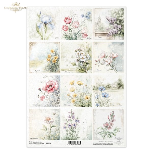 Rice paper R2604