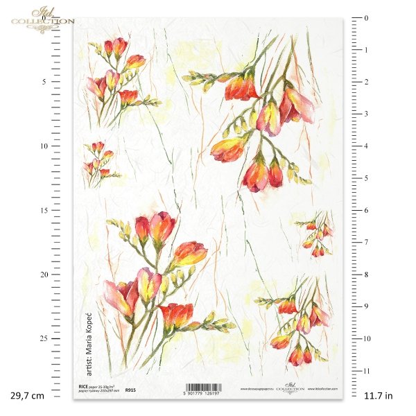 frezja, frezje, kwiat, ogród, łąka, wiosna, autorka grafiki Maria Kopeć, R915, freesia, flower, garden, meadow, spring, Freesie, Blume, Garten, Wiese, Frühling, fresia, flor, jardín, prado, primavera