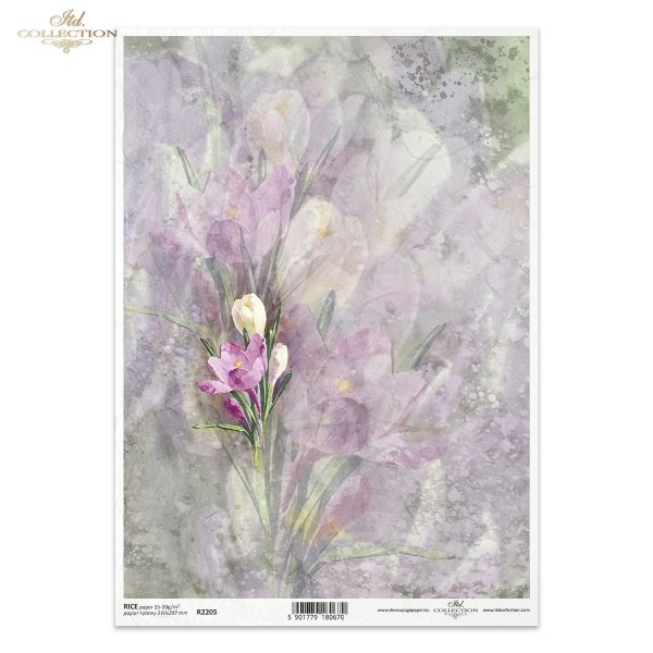 akwarela, tło akwarelowe, tła, wiosenne kwiaty, wiosna, ogród, Spring Love Story, watercolour, watercolour background, backgrounds, spring flowers, spring, garden, Aquarell, Aquarell Hintergrund, Hintergründe, Frühlingsblumen, Frühling