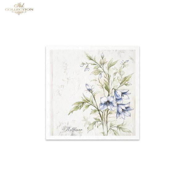 Rice paper set RSM174