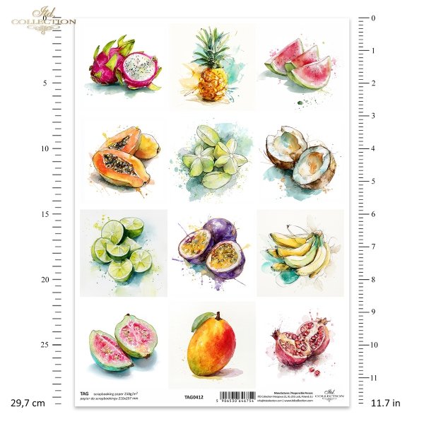 marakuja, arbuz, pitaja, papaja, granat, guawa, akwarela, limonka, ananas, kokos, karambola, banan, mango*Sea shells, clams, snail, pearl, beach, ocean, nature, watercolor, seahorse, jellyfish, sea urchin, crab, starfish, fauna