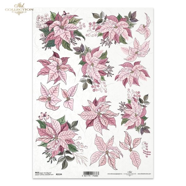 poinsecja, gwiazda betlejemska, kwiat, klimat Bożego Narodzenia, poinsettia, star of Bethlehem, flower, Christmas spirit, Weihnachtsstern, Stern von Bethlehem, Blume, Weihnachtsstimmung, poinsettia, estrella de Belén, flor