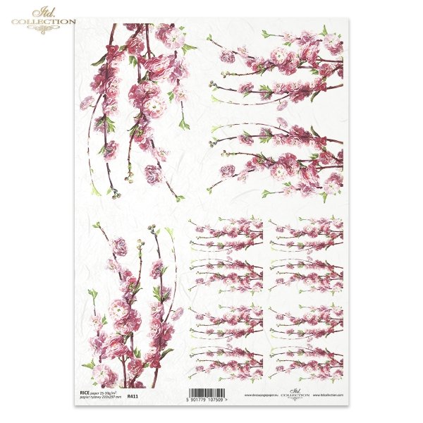 flower, flowers, leaf, leaves, flower petals, blossoming apple tree, apple tree flower