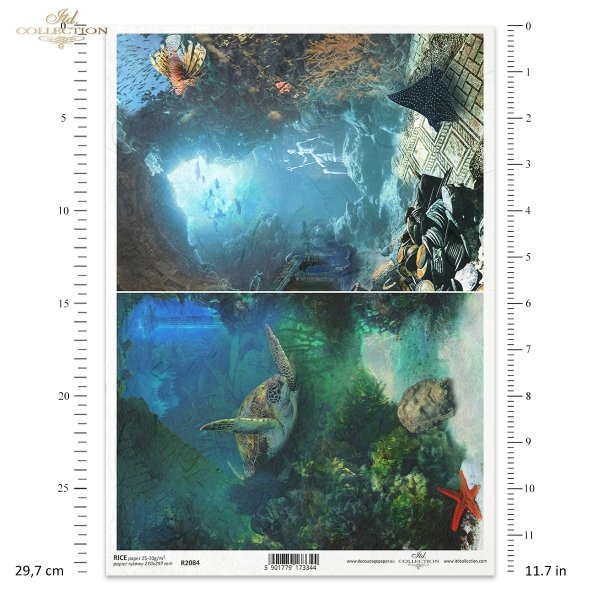 seria The Search for Atlantis, szukając Atlantydy, Atlantyda, żółw morski, płaszczka, rafa koralowa, zatopiony skarb, podwodne miasto, podwodny świat, nurkowanie, morze, ocean, woda, Atlantis, sea turtle, stingray, coral reef, sunken treasure