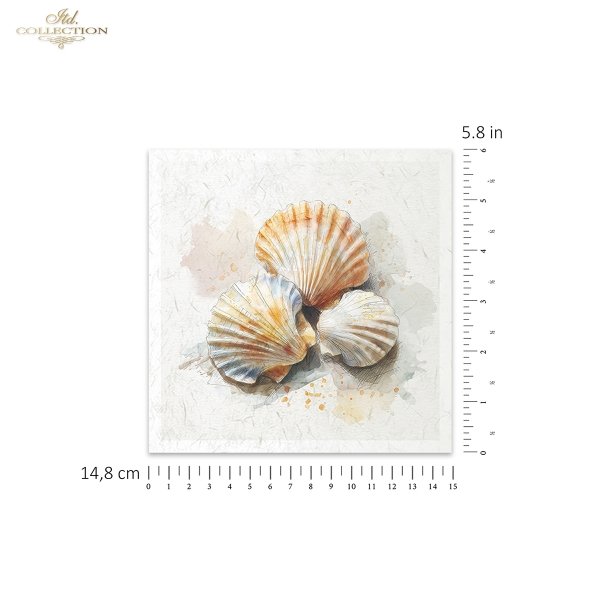 Rice paper set RSM282