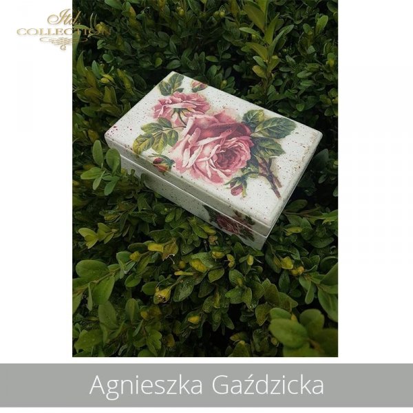 20190706-Agnieszka Gaździcka-R0222-example 04