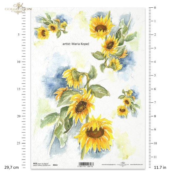 słonecznik, kwiat, ogród, łąka, wiosna, autorka grafiki Maria Kopeć, R913, sunflower, flower, garden, meadow, spring, Sonnenblume, Blume, Garten, Wiese, Frühling, girasol, flor, jardín, prado, primavera