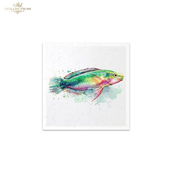 Rice paper set RSM272