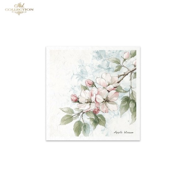 Rice paper set RSM176