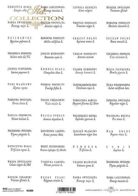 zioła po polsku i łacińsku*herbs in Polish and Latin*Kräuter auf Polnisch und Latein*hierbas en polaco y latín