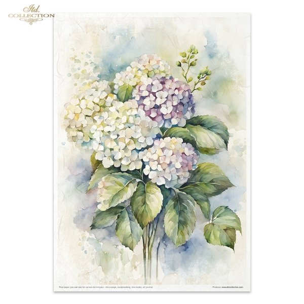 Conjunto Creativo RP074 - Summer Bouquet