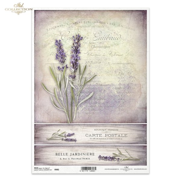 lawenda, lawendy, lawendowe, kwiat, ogród, łąka, wiosna, lato, z lawendą, francuskie faktury, R982, lavender, flower, garden, meadow, spring, summer, Lavendel, Blume, Garten, Wiese, Frühling, Sommer, lavanda, flor, jardín, prado, primavera, verano