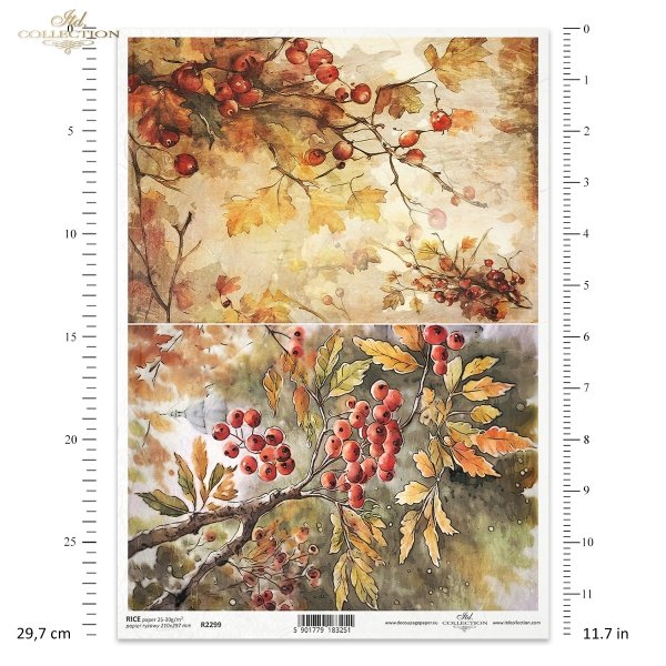 jesień, jesienne widoczki, jarzębina, owoce jarzębiny, liście, kolory jesieni, Autumn Love Story, autumn, autumn views, rowan-tree, rowan berries, leaves, autumn colours, Herbst, Herbstansichten, Vogelbeerbaum, Vogelbeeren, Blätter