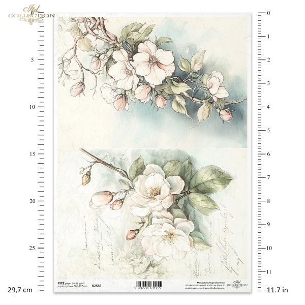 kwiaty flowers Blumen flores 