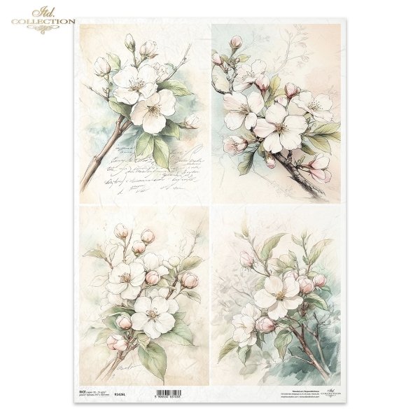 kwiaty flowers Blumen flores 
