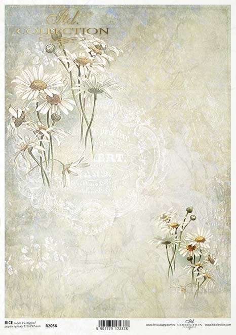 Seria Flower Post - White, Kwiatowa Poczta w bieli, rumianek*Flower Post in white, camomile, collage, inscriptions