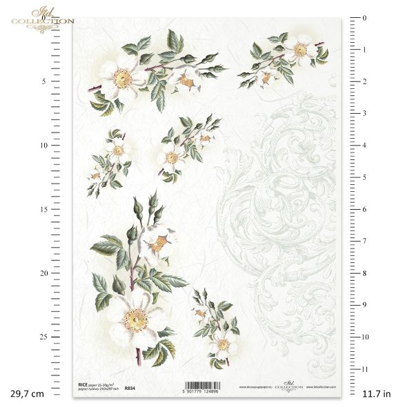 dekor, ornament, dzika róża, róże, ogród, kwiat, wiosna, R834, decor, ornament, wild rose, roses, garden, flower, spring, Dekor, Ornament, Wildrose, Rosen, Garten, Blume, Frühling, decoración, ornamento, rosa silvestre, rosas, jardín, flor, primavera