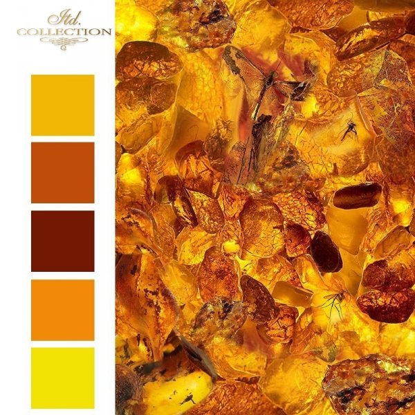 Zanurzone w bursztynie * Mini set - Submerged in amber - colours 1