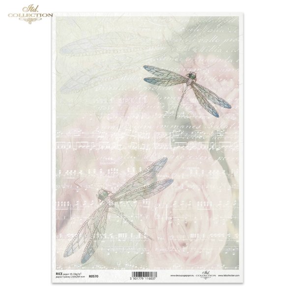 R570, ważka, owad, kolor, pastele, pastelowy, pastelowa, tło, ręczne pismo, list, kwiaty, kwiatowe tło, tło z kwiatami, nuty, partytura, wiosna, lato, dragonfly, insect, colour, pastel, background, handwriting, letter, flowers, floral background, backgrou
