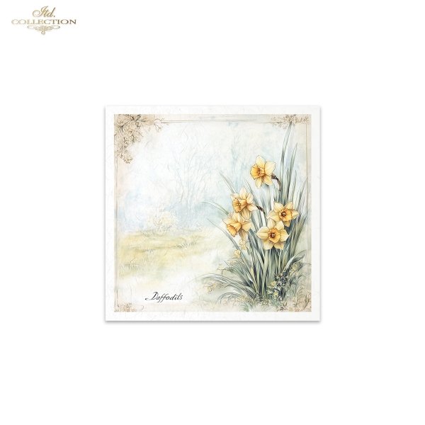 conjunto de papeles de arroz RSM173