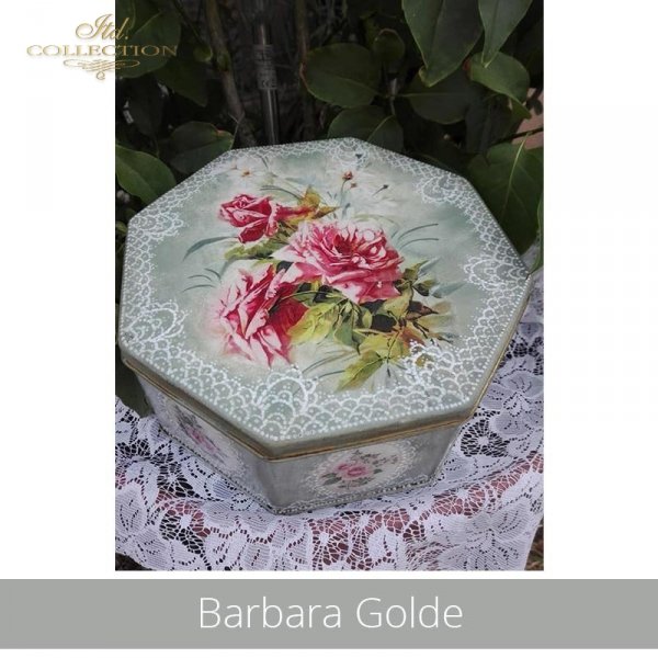20190713-Barbara Golde-R1326-R0182L-A4-R1207_example  02