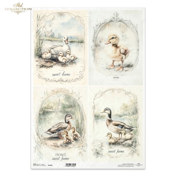kaczki, kaczuszki, wiejskie zwierzęta, wiosenne klimaty, rustykalny styl*ducks, ducklings, country animals, spring climate, rustic style*Enten, Entenküken, Tiere auf dem Land, Frühlin*patos, patitos, animales de campo, clima primaveral, estilo rústicogskl