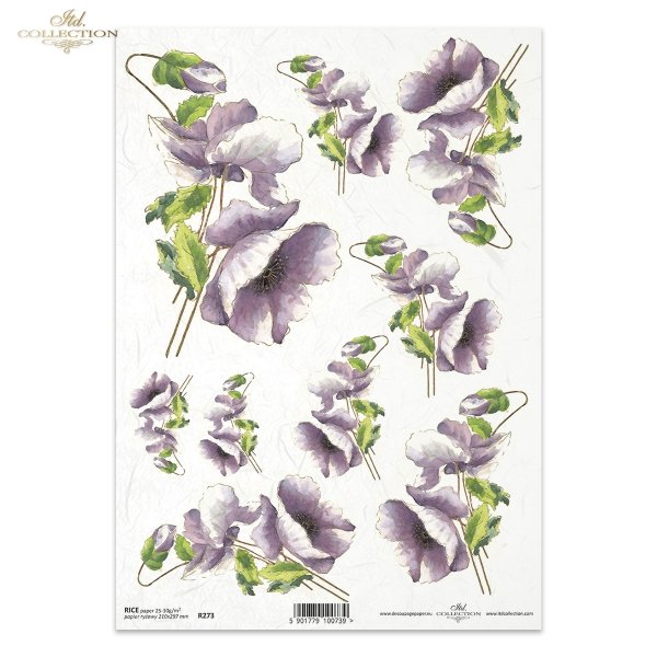 Flowers, poppies, field flowers, field poppies, violet flowers, R273