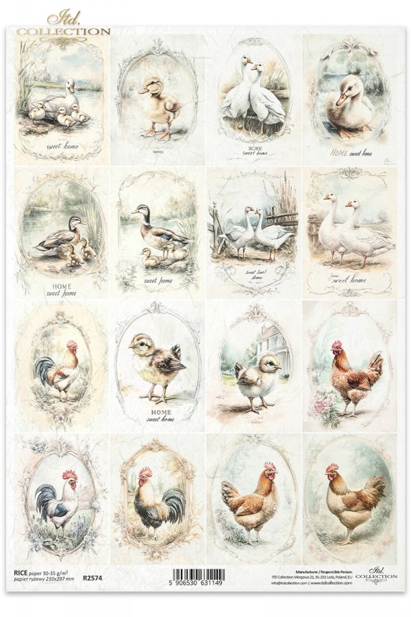 gęsie, kaczki, koguty, kury, kurczaki, wiejskie zwierzęta, wiosenne klimaty, rustykalny styl gansos, patos, gallos, gallinas, pollos, animales de campo, animales de primavera, rústico, estilo rústico geese, ducks, roosters, hens, chickens, country animals