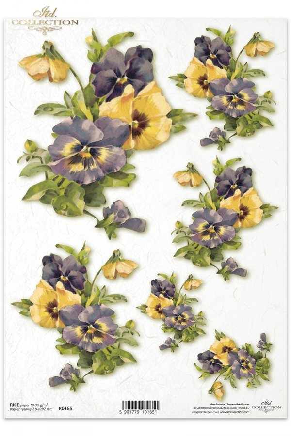 kolory, kwiat, wiaty, bukiety,  bratek, bratki, ogród, łąka,  R165, pansies, colorful, summer, bouquet, flower,  flowers, meadow, garden, lila und gelbe Stiefmütterchen , Garten, pensamientos morados y amarillos 